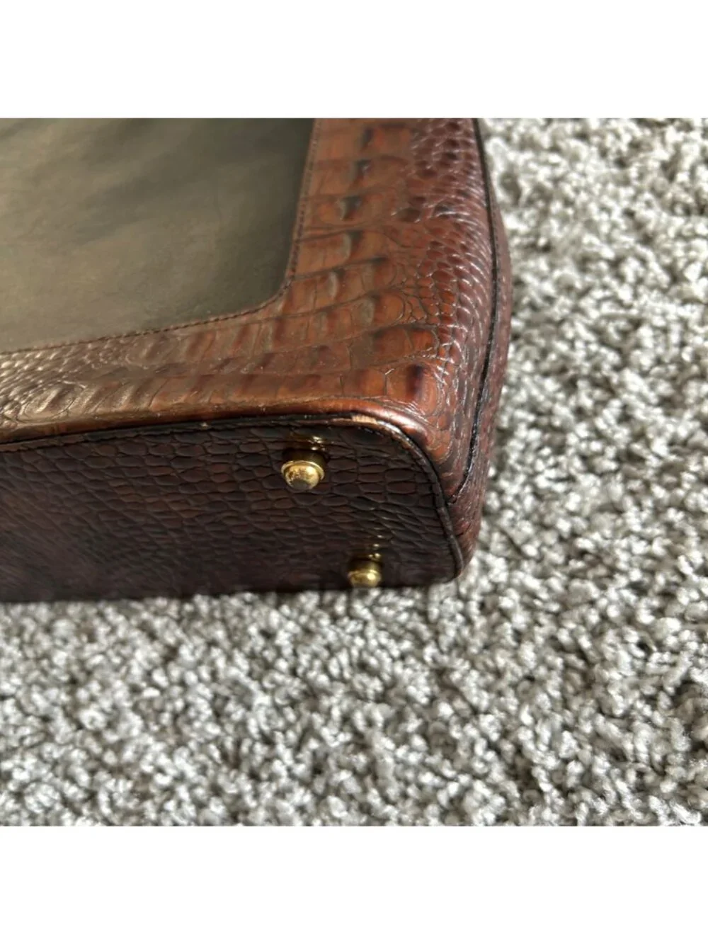 Brahmin this shoulder
